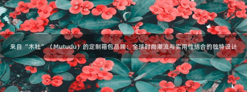 必一体育最新官网入口首页