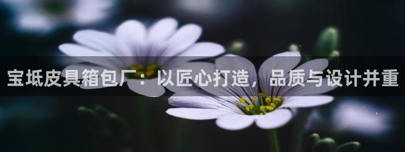 必一体育bsport下载