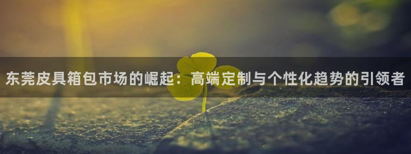 必一运动 b 体育素描版