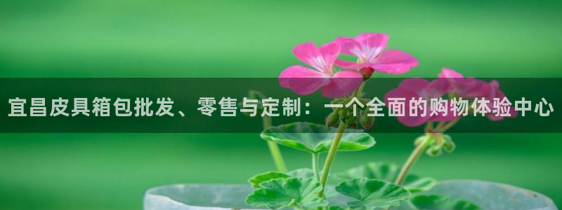 必一运动官网入口