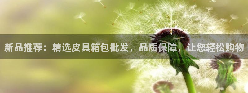 必一体育sportB体育