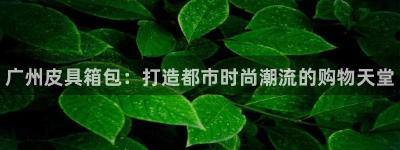 必一体育黑钱