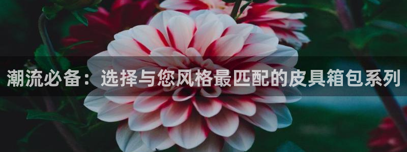 必一体育sport官网