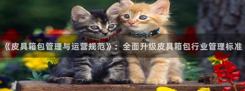 必十二和必一的副作用