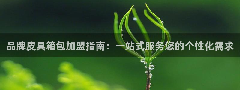 必一体育官网入口