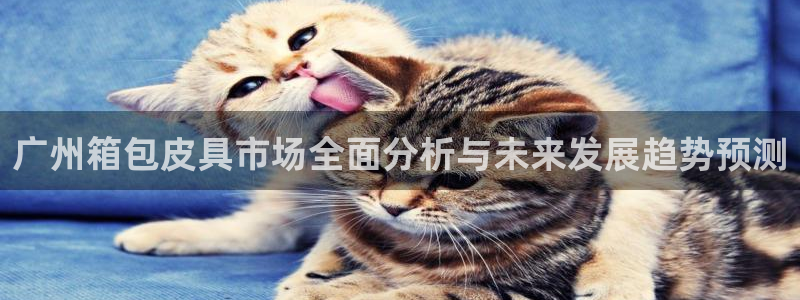 必一体育下载登入