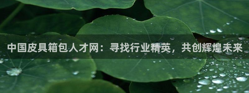 必一运动官网装机吧