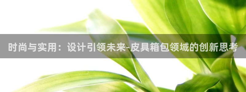 必一体育在线玩