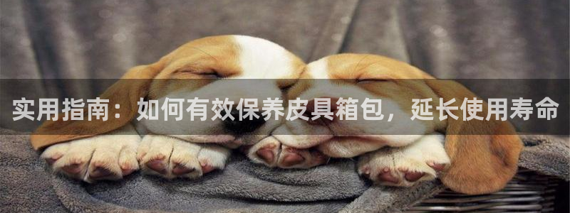 必一运动tieba.baidu.com