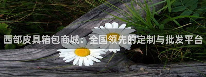 必一体育电子app