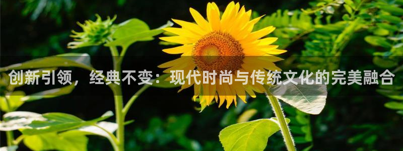 必一体育sport