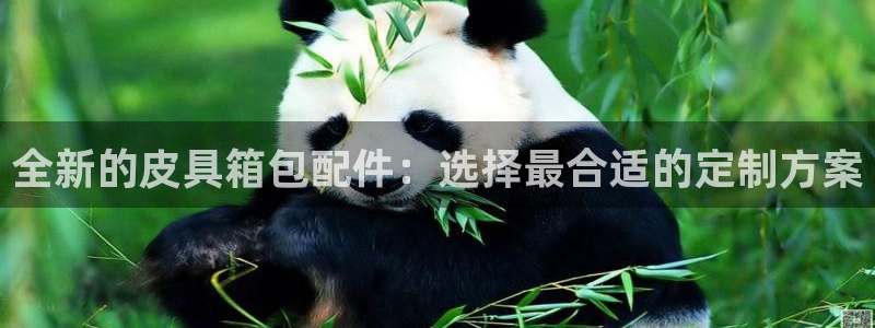 必一体育下载意思