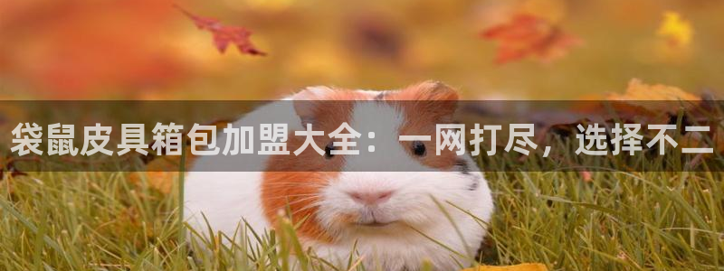 必一运动官网