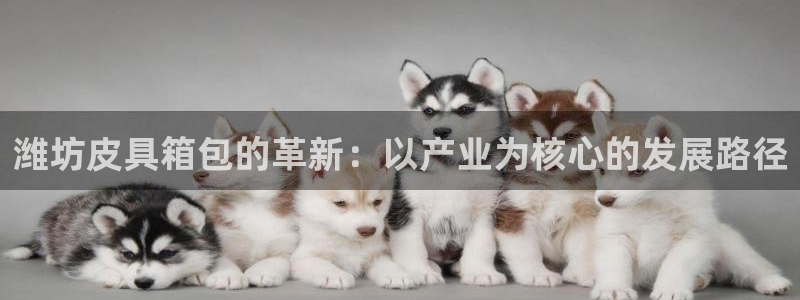 必一体育下载义
