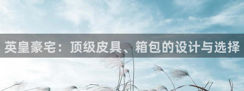 必一体育黑平台