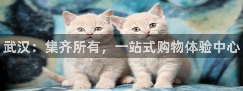 必一体育app官方