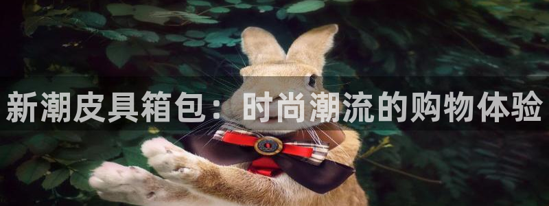必一体育app下载装机吧
