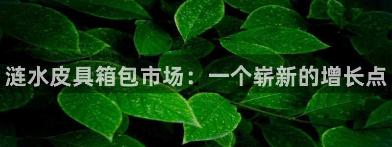 必一体育登录入口