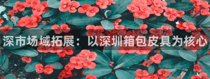 必一体育能提现大金额吗