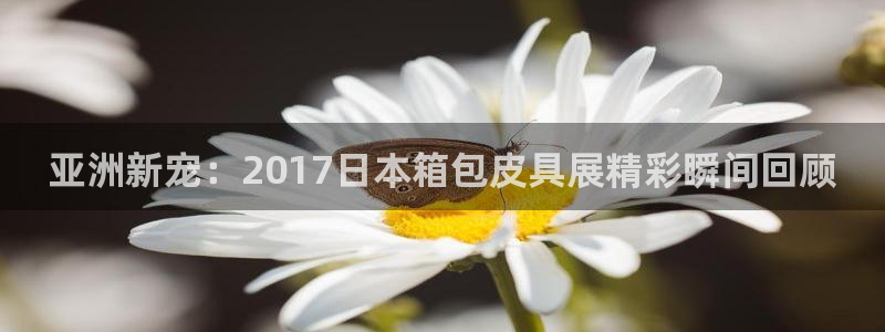 必一体育下载登入