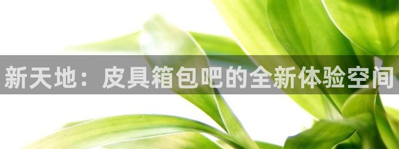 必一体育周公