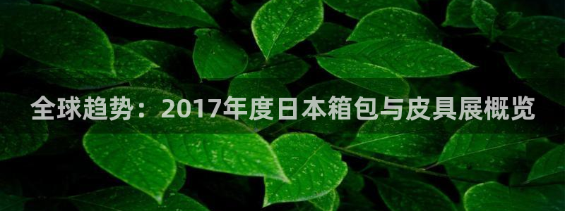 必一体育是啥