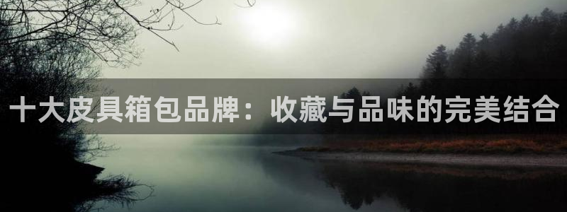 必一体育官方网站入口