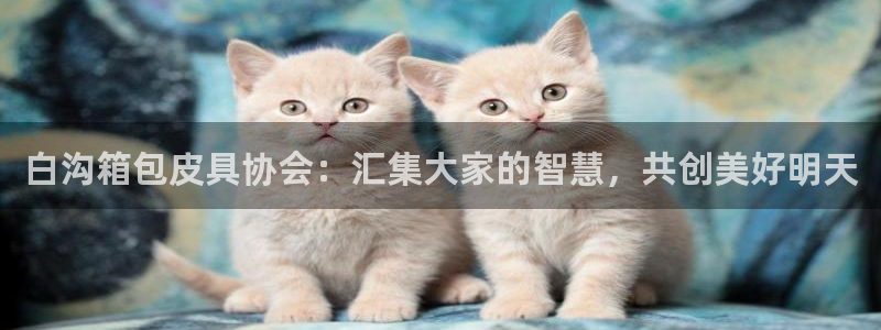 必一运动 b 体育素描版