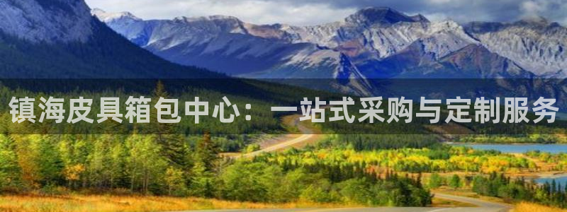必一体育sport官方网站