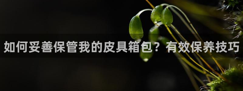 必一体育