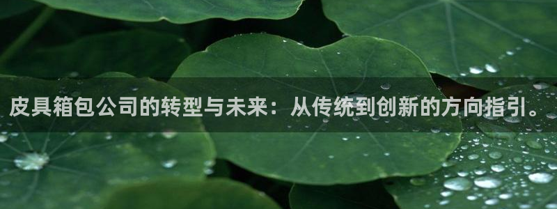 必一体育下载义