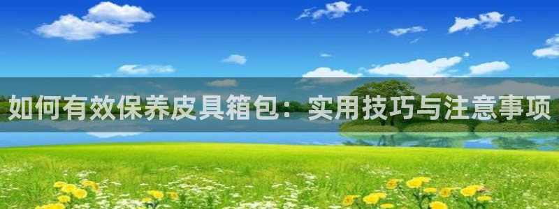 必一体育怎么下载