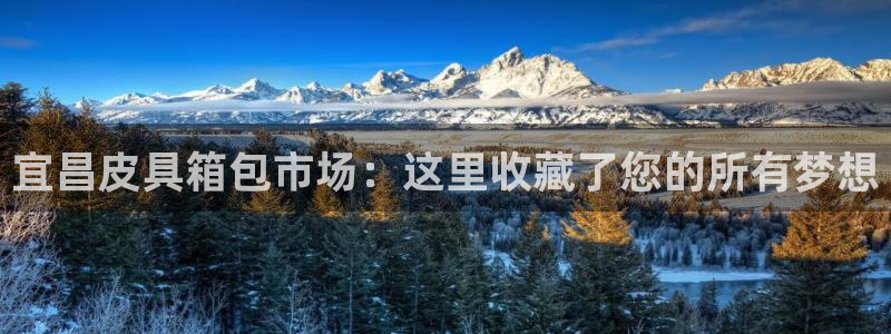 b体育必一运动网页版在线登录入口