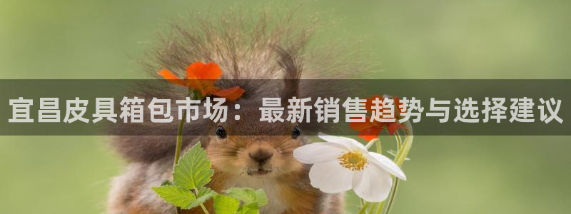 必一体育皮尔斯