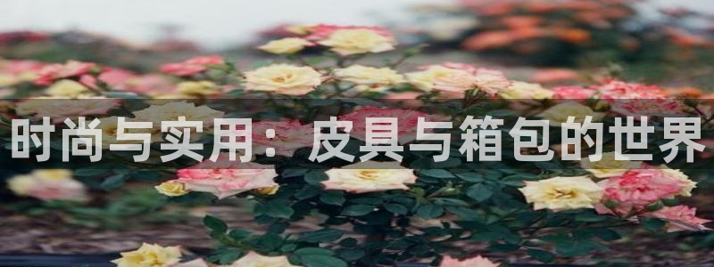 必一体育运动app