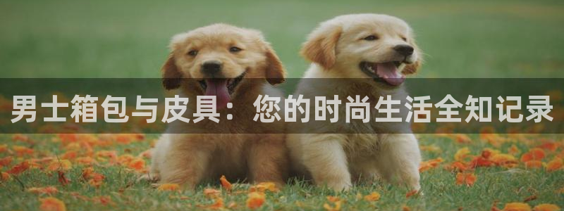 必一体育下载入口