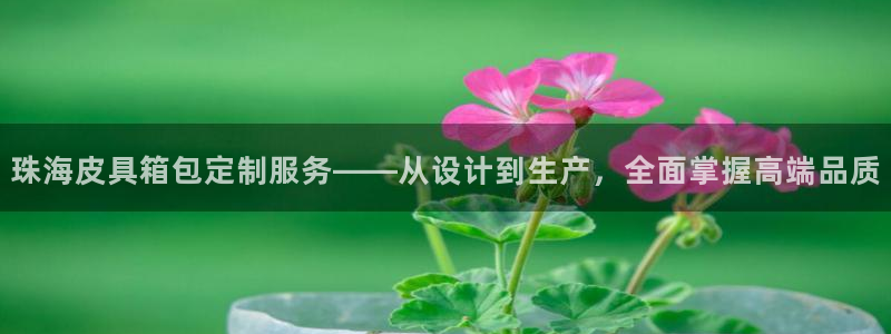 必一体育sportB体育
