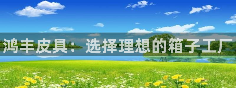 必一体育sport官网