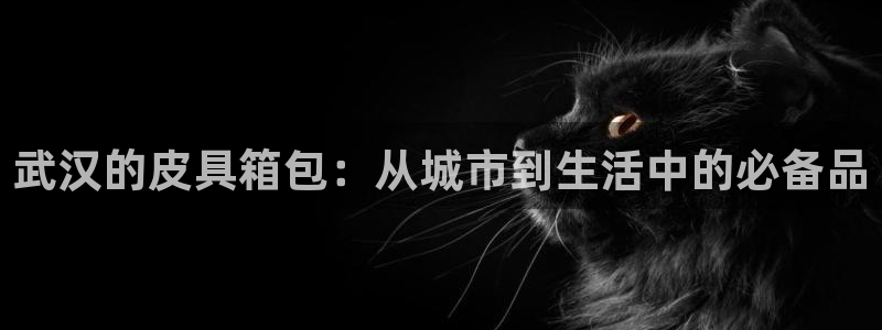 必一运动aop