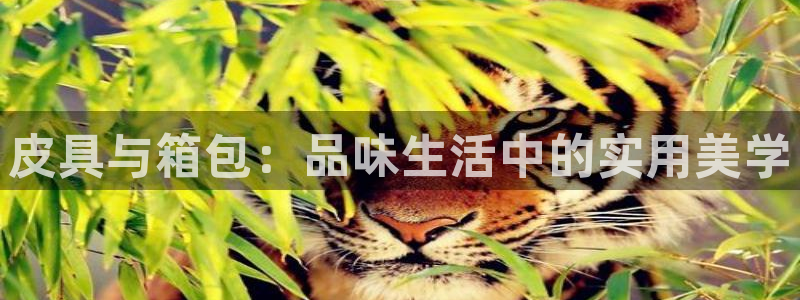 必十二和必一的副作用
