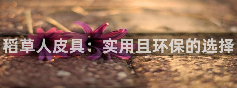 必一运动官网入口