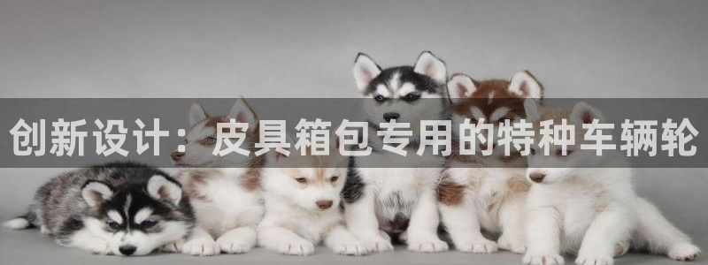 必一体育流水线是什么意思