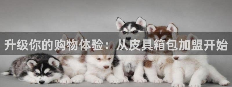 必一体育在哪下