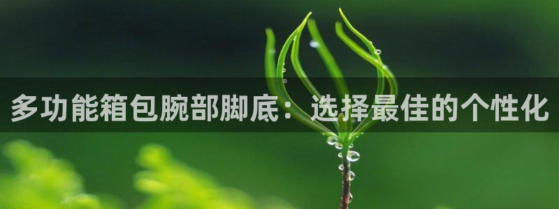 必一运动官网入口