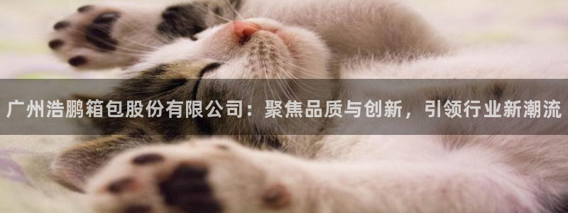 必一体育在线玩