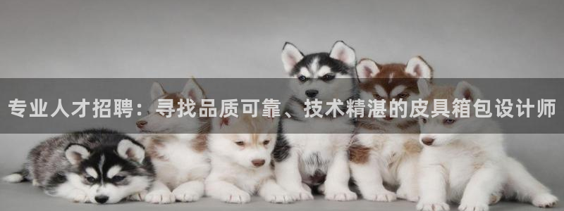 必一体育app官方网站