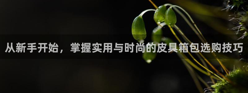 必一体育在哪下