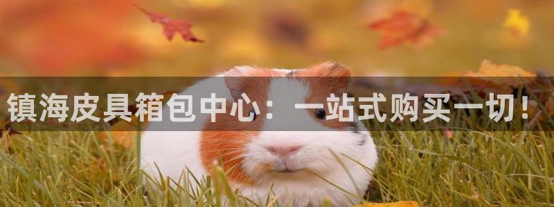 必一体育sport网页版