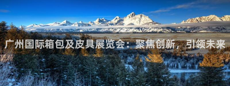 必一体育APP下载安装