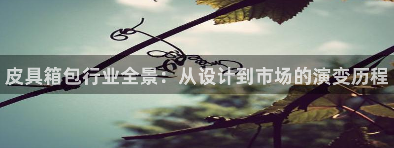 必一体育能提现大金额吗